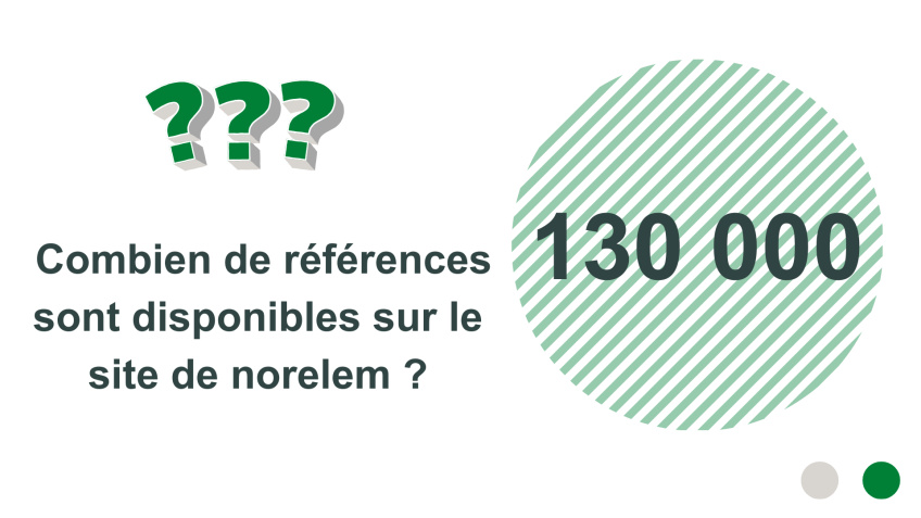 Combien de références sont disponibles sur le site de norelem ? 