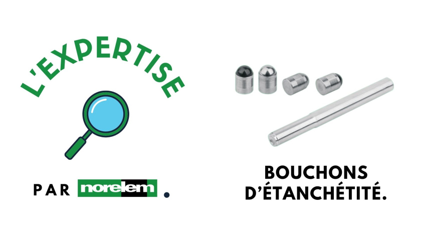 🔎 L'expertise par norelem - Bouchons d'étanchéité 
